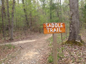 The paved trail connects to a number of the non-paved trails. I took Stormy on this one and she LOVED it!